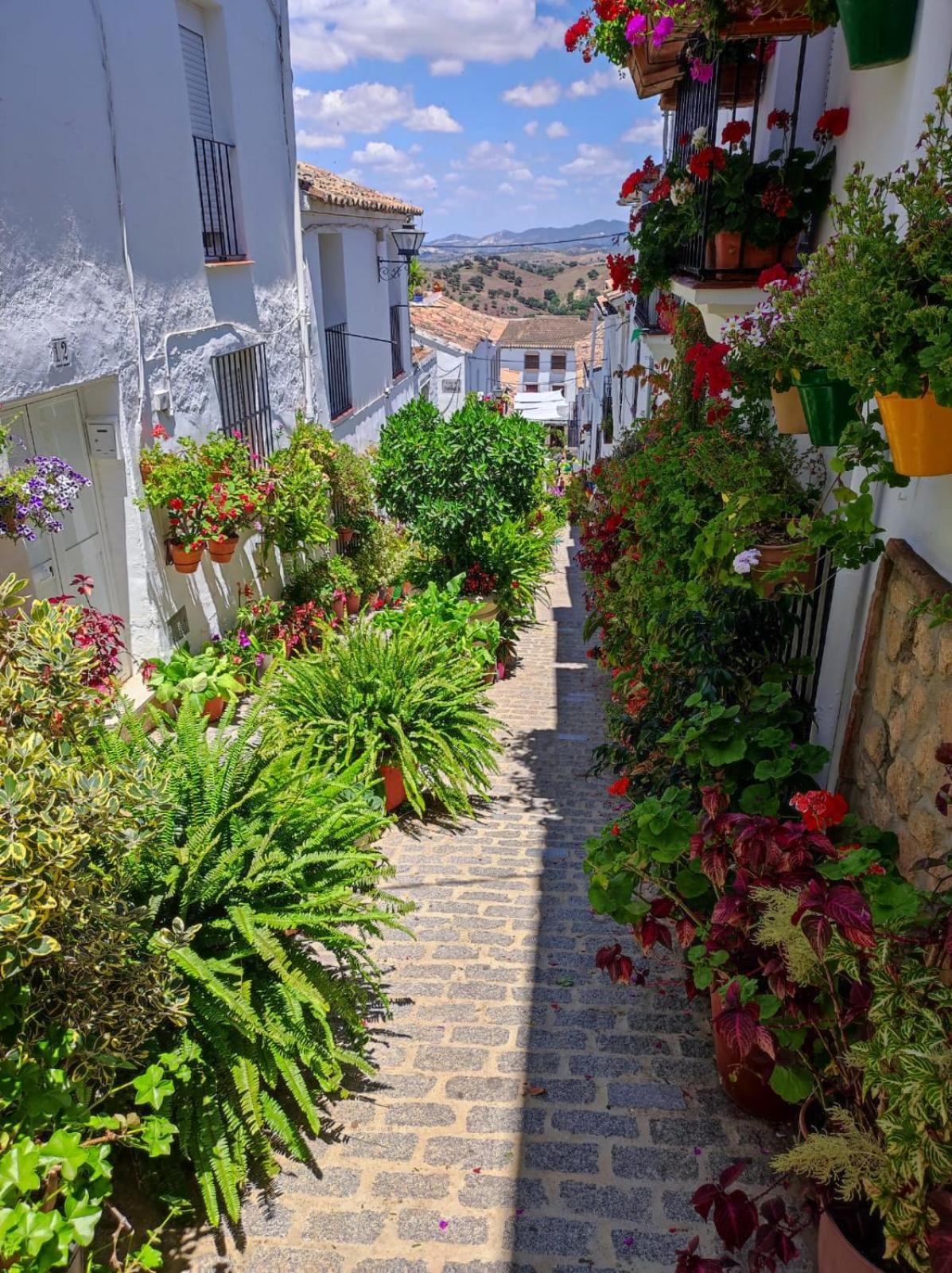 Villa Isabel El Gastor Εξωτερικό φωτογραφία